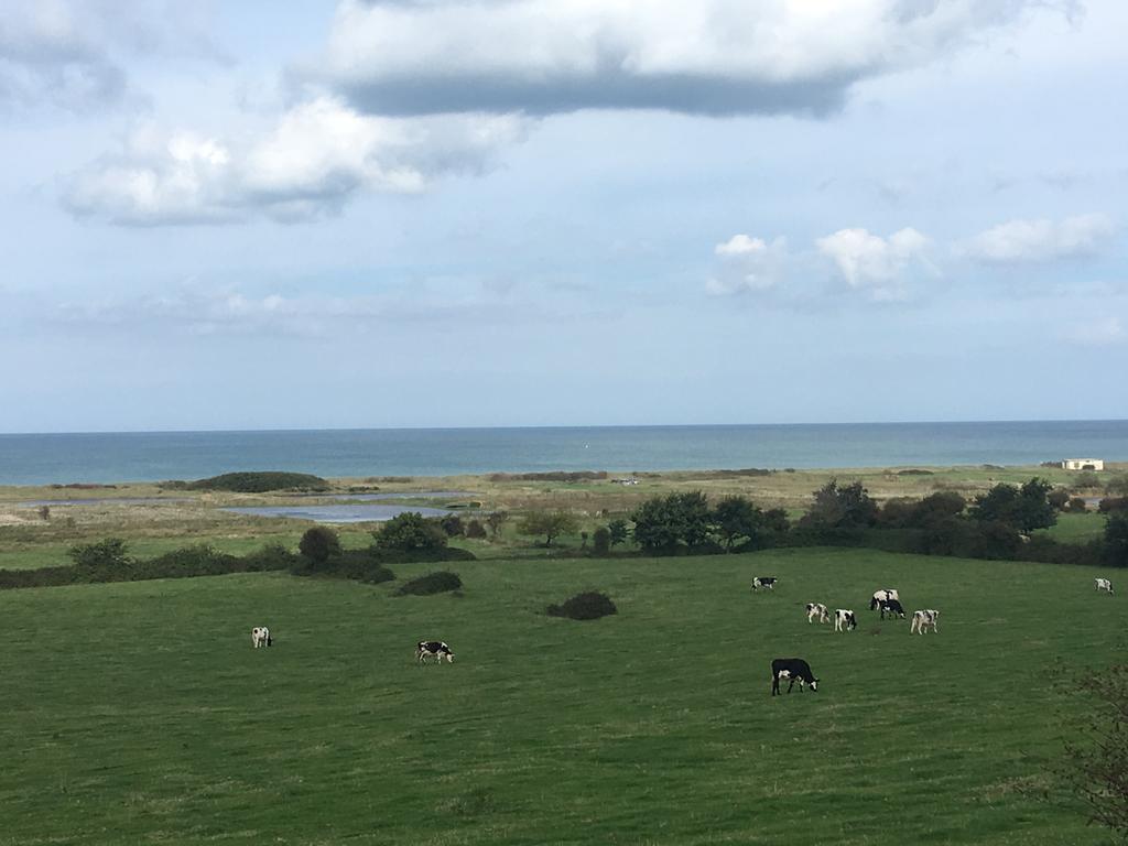 Normand
